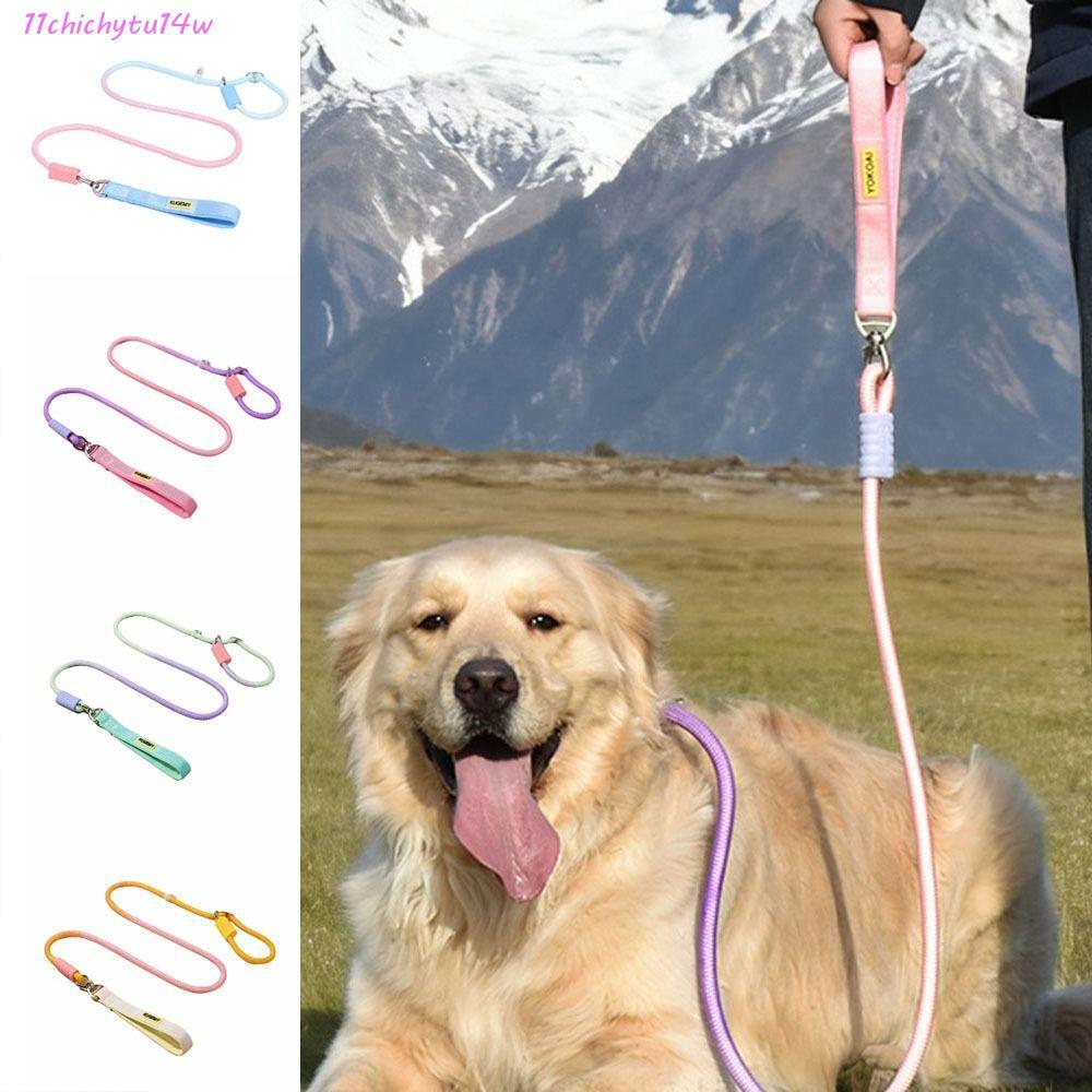 CHICHYTU14W สายจูงสุนัข, สีไล่ระดับสี Heavy Duty Anti-Pull Leash, Anti-Escape ปรับ Anti-Tangling ไนล