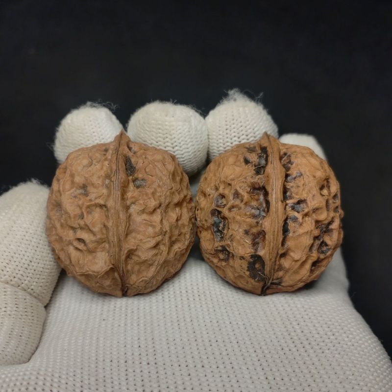 Yunnnan Wild Iron Walnuts, Original Leather Primary Color, High Density Leather Good Oily Large, Wen
