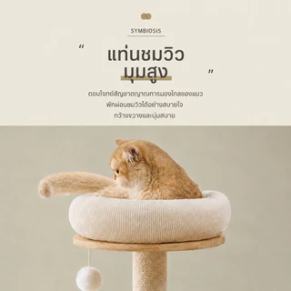 คอนโดแมวไม้ คอนโดแมวใหญ่ โครงปีนแมว คอนโดต้นไม้แมว ตัวคอนโดแมวใหญ่ คอนโดไม้ แคปซูลอวกาศ ไม้แมวคอนโดแมว คอนโดแมว
