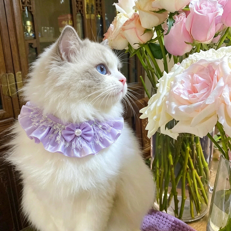 Rainbow Sweetheart Alice Ruffled Pet Bib Pearl Bow Cat Dog Universal Collar น่ารักสวมใส่ตกแต่ง