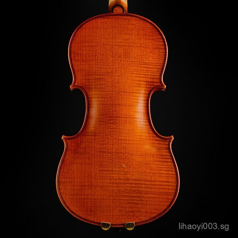 Christina ไวโอลิน S100D นําเข้ายุโรป Handmade Professional Performance ไวโอลินเริ่มต้นดนตรี trument 