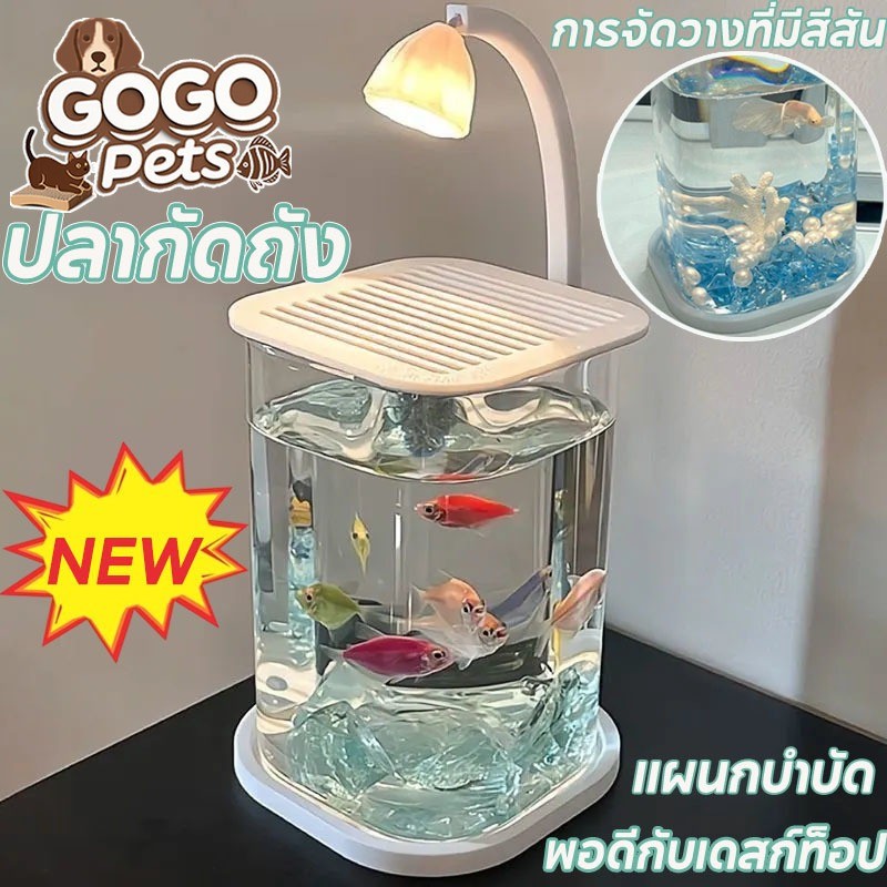 ใหม่ ปลากัดถัง ตู้ปลาพลาสติกใส สำหรับปลากัด วางไว้บนโต๊ะทํางานของคุณ มีไฟ LED สําหรับให้แสงสว่าง