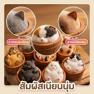 แมวอ้วนในอ่าง ของเล่นกดคลายเครียด Clicker Fidget แมวอ้วนในอ่างไม้ น่ารัก กดได้ ของเล่น งานแฮนด์เมด ของสะสม ลดความดัน