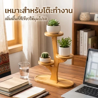 ชั้นวางต้นไม้หลายชั้นสำหรับโต๊ะ ชั้นวางดอกไม้พืชสีเขียวในบ้าน แข็งแรงทนทานทำจากไม้ไผ่