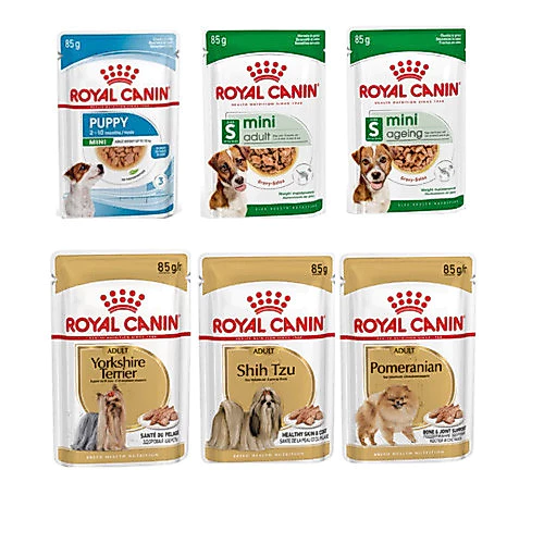 (ของแถมตามโปร) Rc pouch Dog สำหรับสุนัข (คละแบบ)
