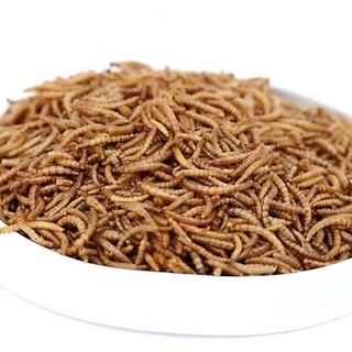 หนอนนกอบแห้ง(ขนาดแบ่งขาย)Dried Mealworms50กรัม /100 กรัม เหมาะสำหรับสัตว์เลี้ยงเช่น ชูก้า เม่นแคระ หนูแฮมเตอร์