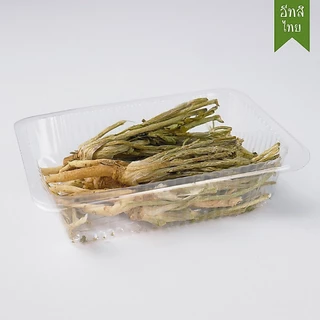 อีทสิไทย - รากผักชีฟรีซดราย 4 g. (Eatsithai - Freeze Dried Coriander Root) ผักอบแห้ง