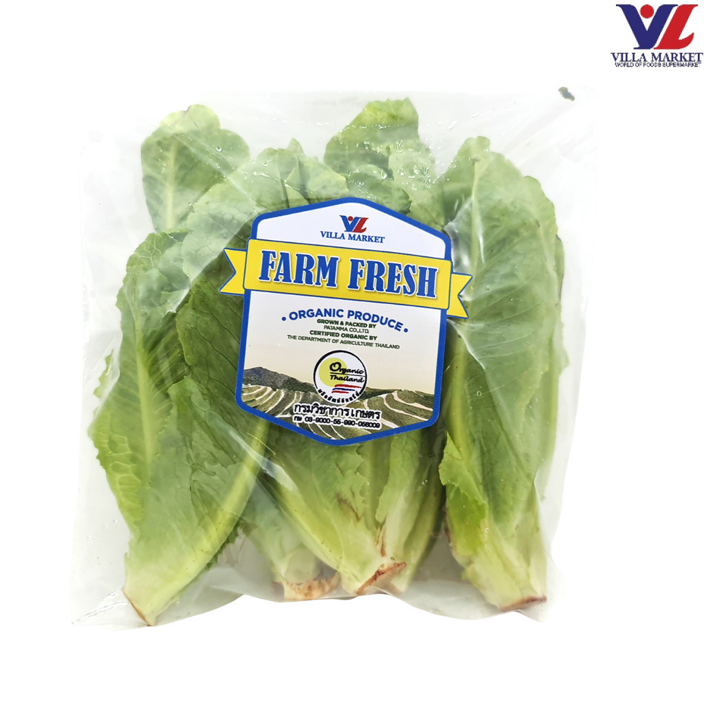 [สินค้าส่งด่วน] [1666] Ff Organic Green Cos กรีนคอสออร์แกนิก 150g