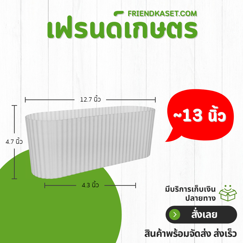 กระถาง กระถางวงรี กระถางรางยาว เบอร์ 12 13 4 12.5 นิ้ว สีขาว 5 ใบ ชิ้น