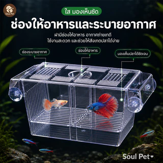 กล่องแยกปลา กล่องอนุบาลปลา ผสมพันธุ์ปลา แยกแม่ปลาและลูกปลา ติดกระจกด้วยจุ๊บดูด สำหรับเลี้ยงหรือแยกปลา