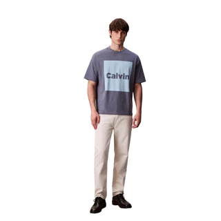 CALVIN KLEIN เสื้อยืดคอกลมแขนสั้นผู้ชาย Logo Box Graphic Relaxed T-Shirt รุ่น 4RD813G CVJ-สีเทา
