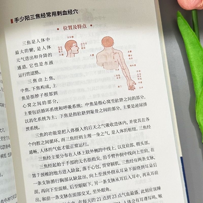 WFP6 การฝังเข็มการแพทย์แผนจีนทุกโรค Template Simple One Book Blood Cure โรคมีการประดิษฐ์ตัวอักษรการป