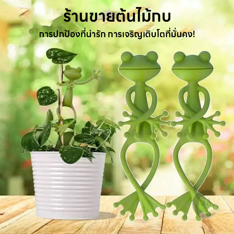 ตกแต่งกระถาง อุปกรณ์พยุงพืช รูปร่างกบน่ารัก น่ารักขอบถ้วยพืชคงพันธมิตรการขยายพันธุ์พืช แก้ไขกิ่งไม้ - รูปที่ 7