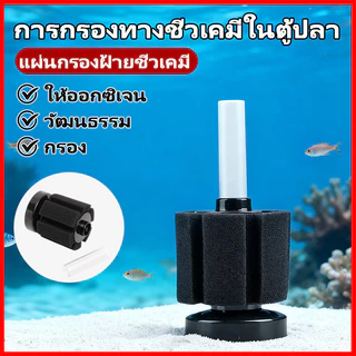 ⚡พร้อมส่งจากไทย⚡ 🐠 กรองฟองน้ำตู้ปลา ฟองน้ำกรองชีวภาพ ฟองน้ำกรองละเอียด น้ำใส ปลาแข็งแรง 💧