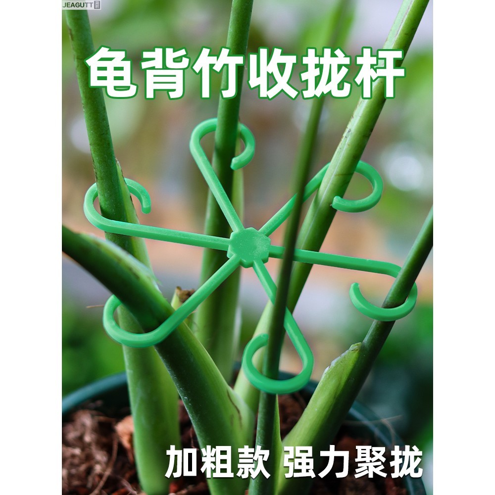 Monstera Fixed Handy Tool Support Rod Plant Anti-Inverted Flower Support Frame Bird of Paradise Flow