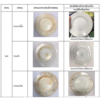 TEEPOL Pure ผลิตภัณฑ์ล้างจาน | ถนอมมือ อ่อนโยน | สำหรับทำความสะอาดจาน ชาม เครื่องแก้ว