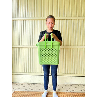 อ่านขนาดด้วยคร้าบ ไม่พอใจให้คืนคร้าบ อ่านขนาดเถอะครับ ตะกร้าหูหิ้ว พลาสติก วัดด้านบน ขนาด 39*28*25ซม ตะกร้าใส่แมว