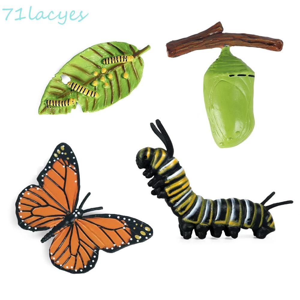 LACYES Growth CYCLE รุ่นสําหรับเด็กชีววิทยาผีเสื้อ Growth CYCLE การสอนวัสดุพลาสติกรุ่นแมลงสัตว์ Life