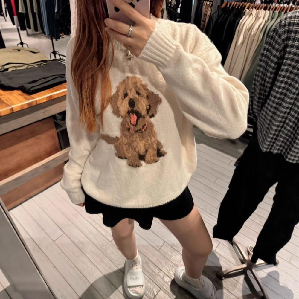 Hollister American Street Wear Small Seagull Jacquard Golden Retriever Puppy การ์ตูนรอบคอเสื้อกันหนา