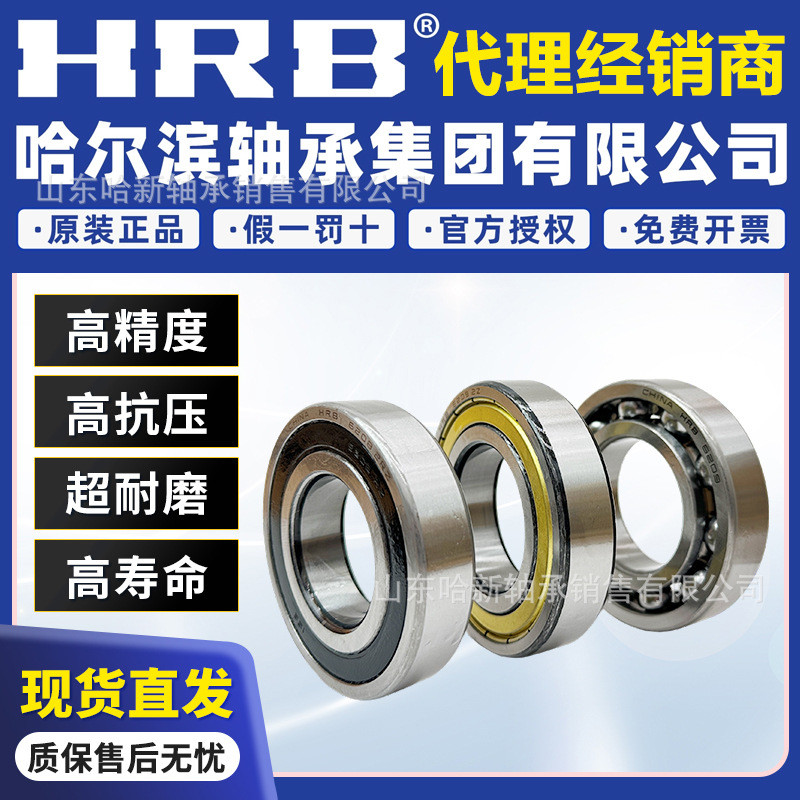 Halbin Bearing 6300 6301 2Z 6302 6303 2RZ K9RC