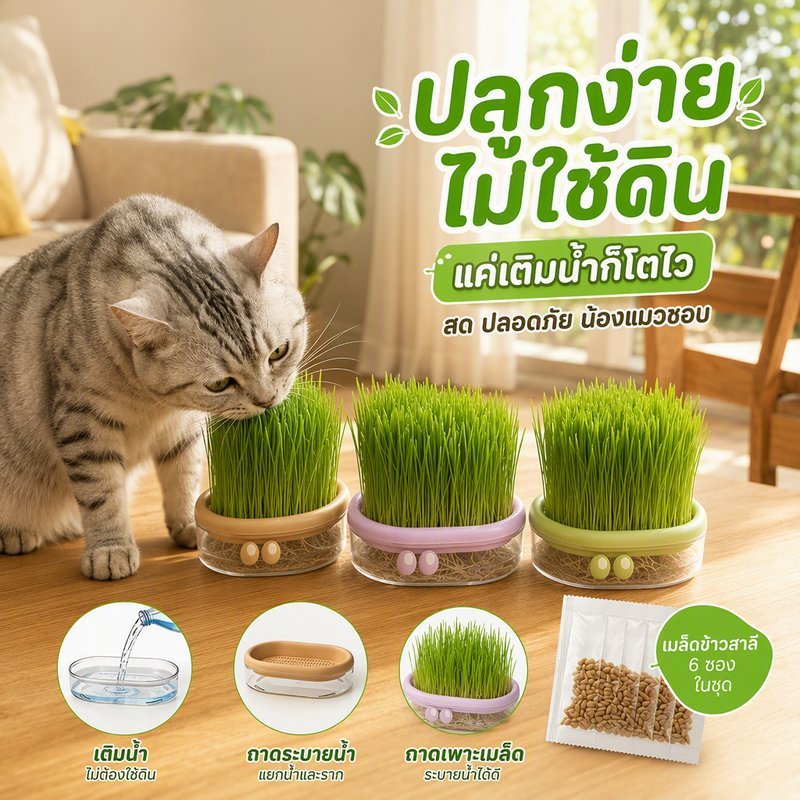 ชุดปลูกหญ้าแมว ไฮโดรโปนิกส์ ปลูกในบ้าน ไม่ใช้ดิน พร้อมเมล็ดข้าวสาลีออร์แกนิค 5 ซอง