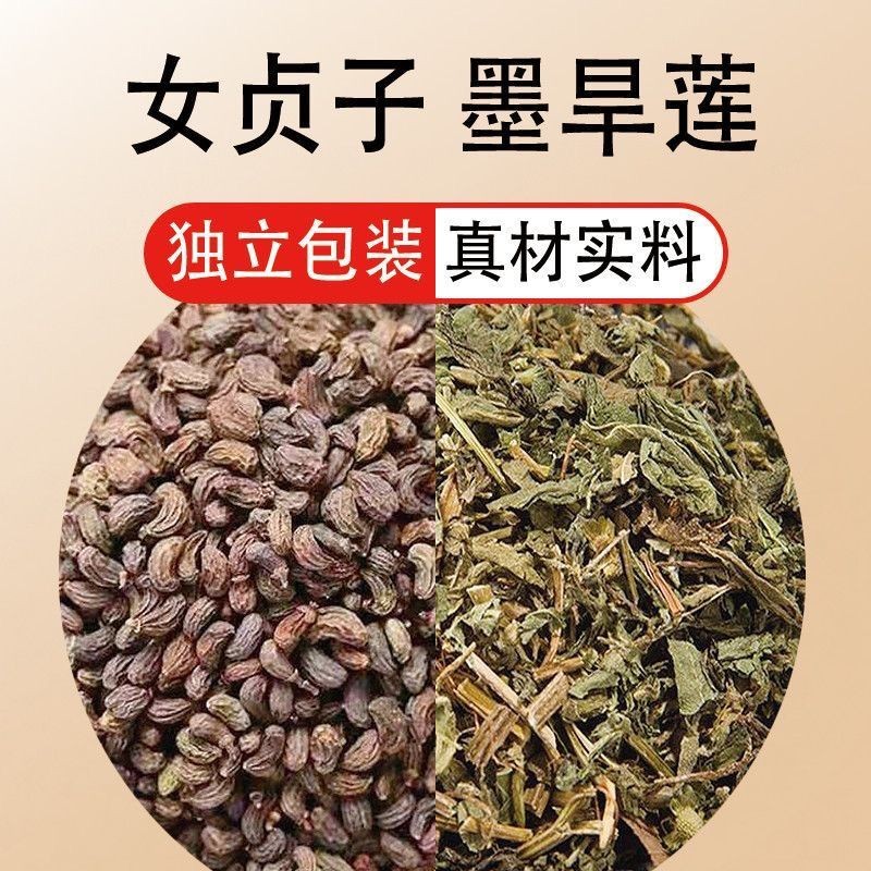 Ligustrum lucidum, Eclipta lucidum, Hangsan pure n Female Seeds Seeds Seeds Seeds All n Women Seeds 