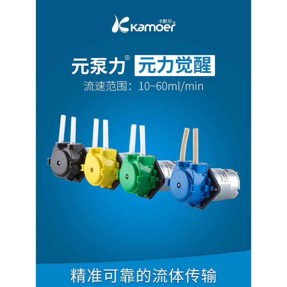 Camer Wrought Pump 12v ปั๊มน้ําหัวปั๊ม 24V มอเตอร์ห้องปฏิบัติการ NKP ปั๊มน้ํา