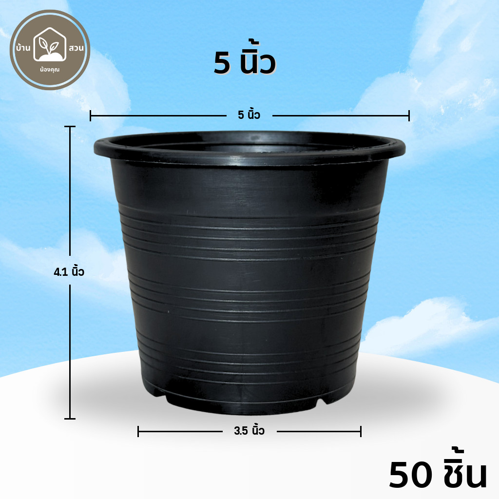 กระถาง 5 นิ้ว ยกมัด 50 ใบ
