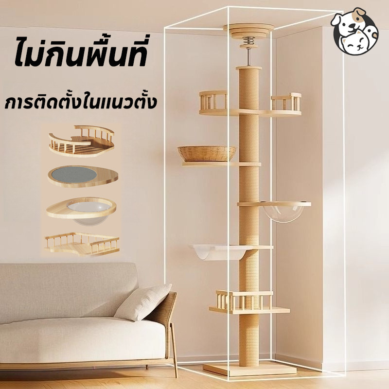 FOR_PET โครงปีนแมว คอนโดแมวติดเพดาน เสาลับเล็บแมว ไม่ต้องเจาะ แท่นเสาปีนป่าย 260cm แข็งแรงไม่ล้มง่าย