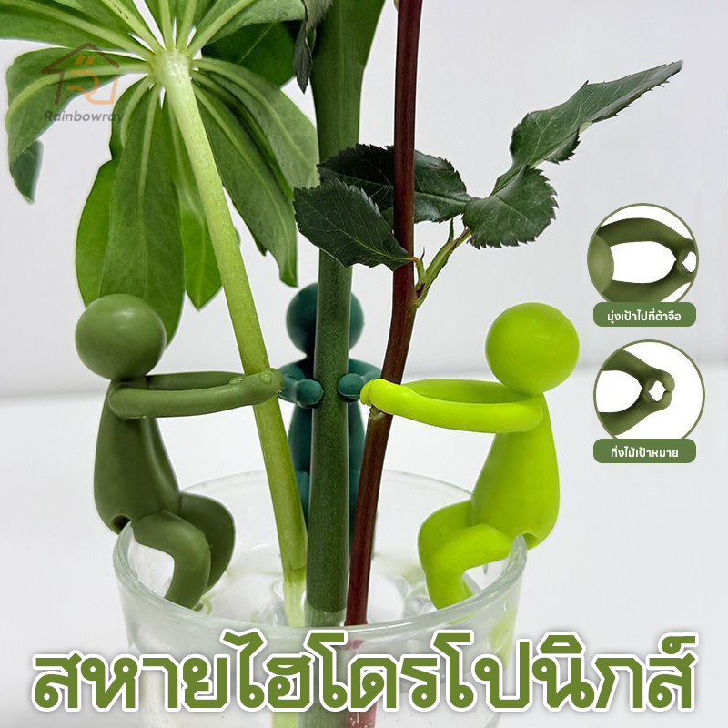 ขาตั้งพืชไฮโดรโปนิกส์คงที่ รองรับพืช พืชขอบถ้วยตลกคงที่คนน้อยพืชสนับสนุน พืชการเพาะปลูกในร่ม
