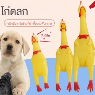 ของเล่นสุนัขไก่กรีดร้อง สุดฮิต เสียงดังทนทาน ไก่ตะโกน ไก่บีบเสียง ของเล่นกัดไม่ขาด ช่วยคลายเครียดและความเบื่อของสุนัข 🐶🐔