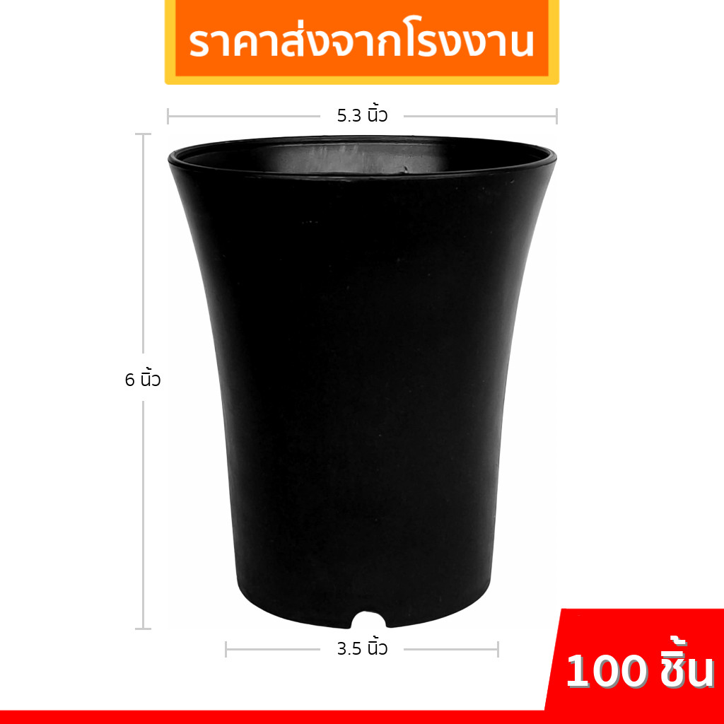 กระถางปากแตร กระถาง กระถางไม้กราฟ ทรงสูง 5 นิ้ว 100 ใบ สีดำ ยกมัด