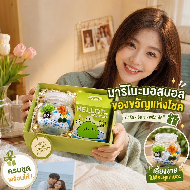 ชุด มอสบอล มาริโมะ Marimo พร้อมขวดพลาสติก ฝา กล่อง ของขวัญ ตกแต่งโต๊ะ ตู้ปลา