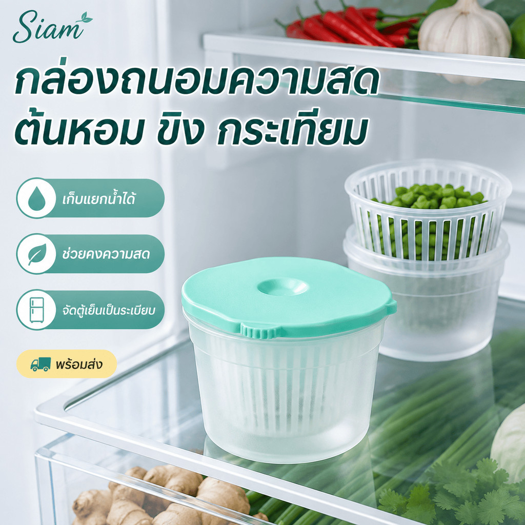 Siam กล่องถนอมผักสดสองชั้น มีตะแกรงแยกน้ำ เก็บต้นหอม ขิง กระเทียม ช่วยลดความชื้น จัดตู้เย็นเป็นระเบียบ ใช้งานสะดวกมากCOD