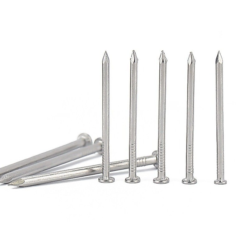 ตะปูหัวกลม หัวแบน สแตนเลส 304 แข็งแรง กันสนิม (2-200pcs) [ZQ-D1]
