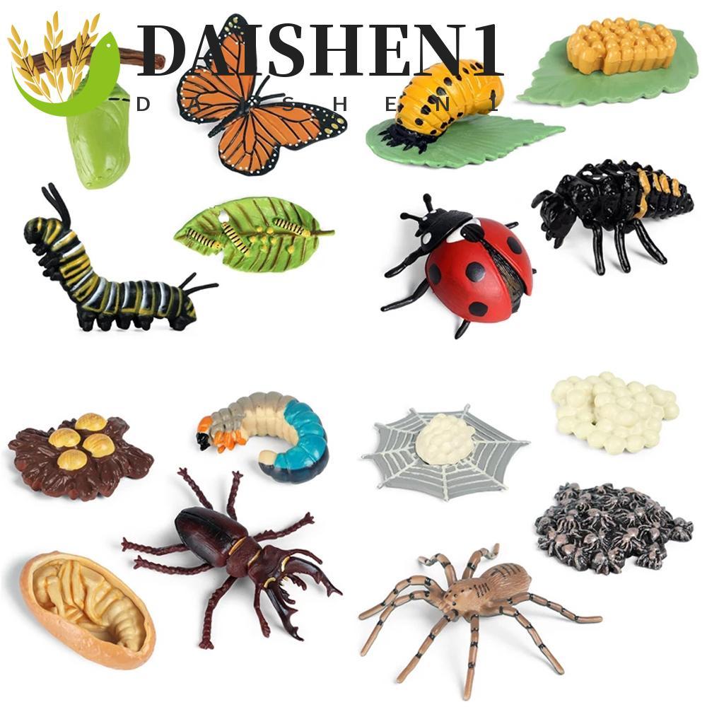 DAISHEN1 Growth CYCLE รุ่นของเล่นเด็กวิทยาศาสตร์ของเล่นผีเสื้อ Growth CYCLE พลาสติกรุ่นแมลงสัตว์ Spi
