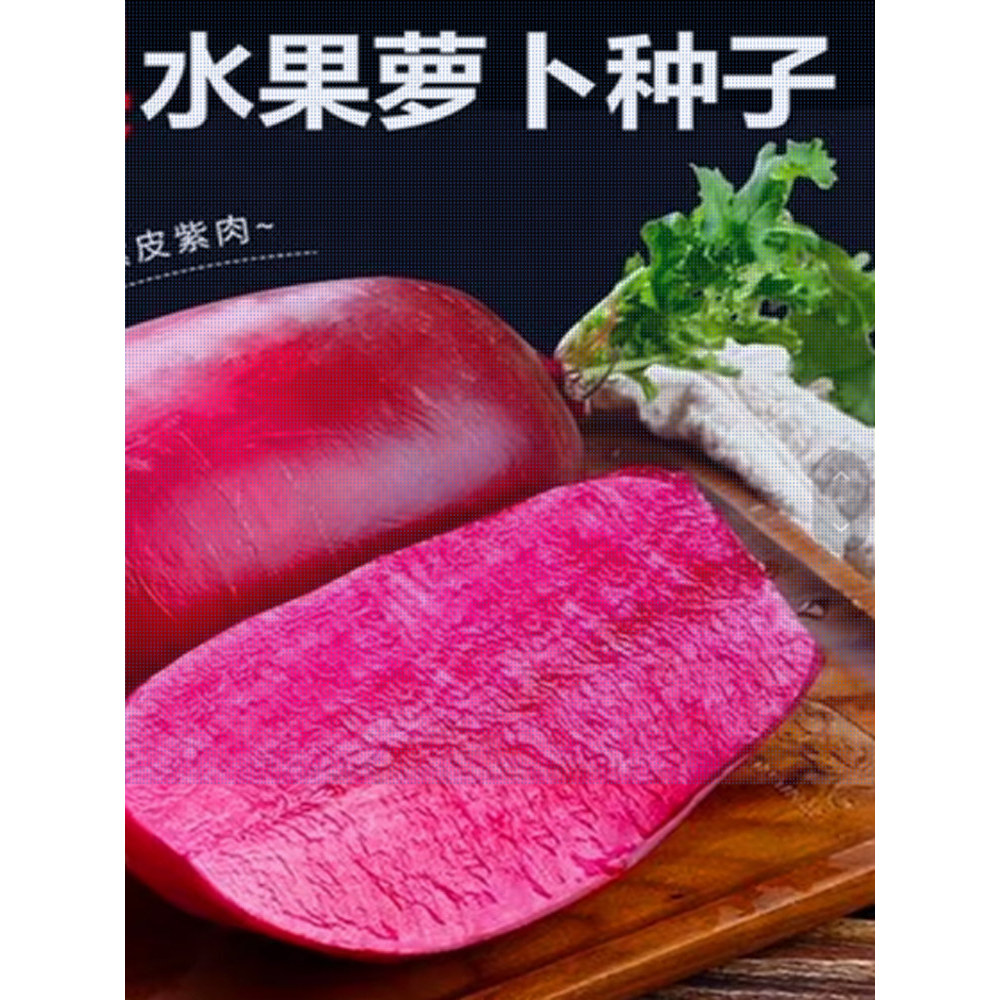 现货热卖凤梨萝卜种子水果萝卜种籽紫色红皮红心脆甜沙窝萝卜四季蔬菜高产Pineapple radish seeds fruit radish seeds purple red20260902