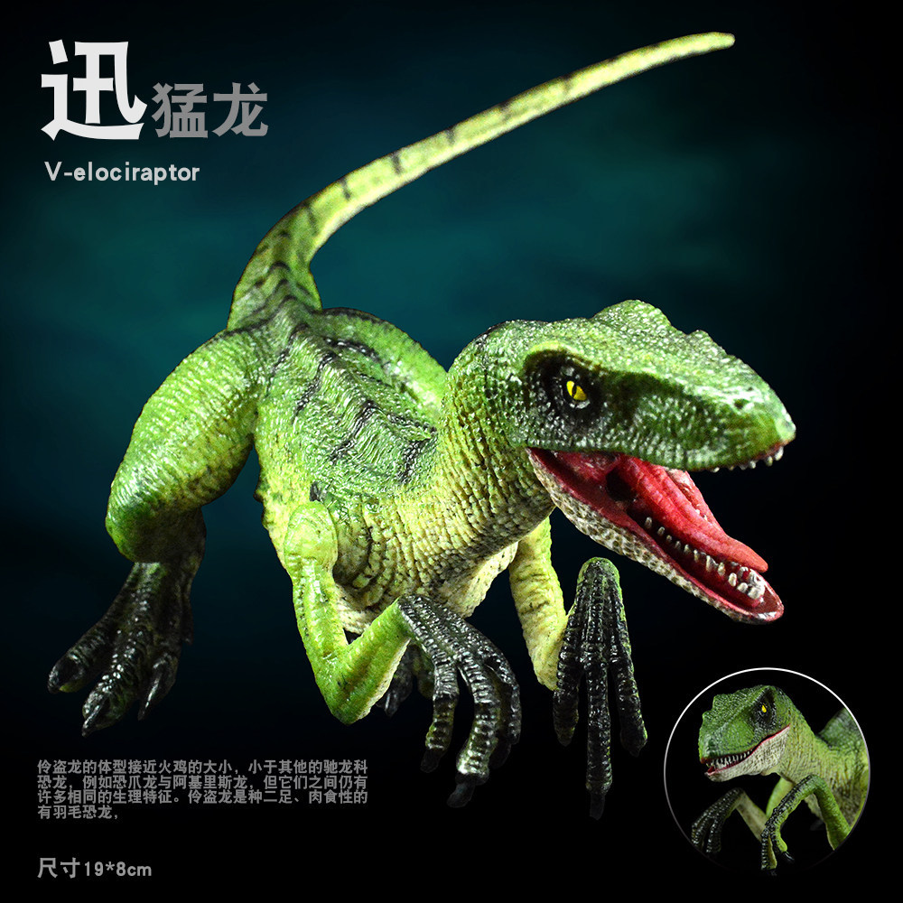 เด็ก Velociraptor ไดโนเสาร์ของเล่นจําลองไดโนเสาร์กินเนื้อ Velociraptor Fast Dragon Delta Zhanghe ปาก