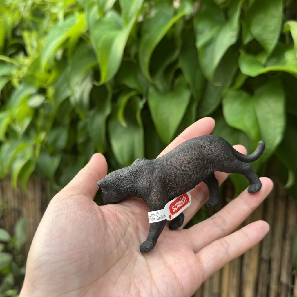 Schleich Black Panther Black Panther 14774 Jaguar Money Panther จําลองสัตว์รุ่นคอลเลกชันของเล่นของขว