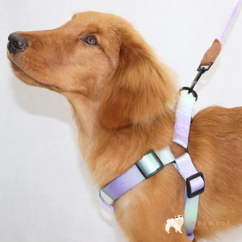 WOOW สุนัข Harness เข็มขัดยืดปรับสุนัข Leash Walk Training Harness