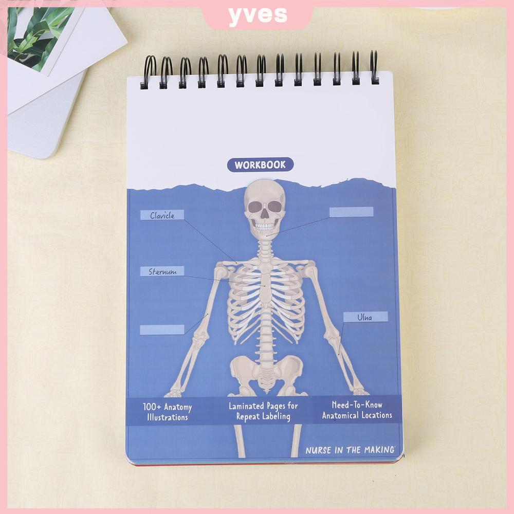 Creative Human Anatomy Busy Book Physiology Study Tools Anatomy Guide Book ของขวัญสําหรับนักเรียนแพท