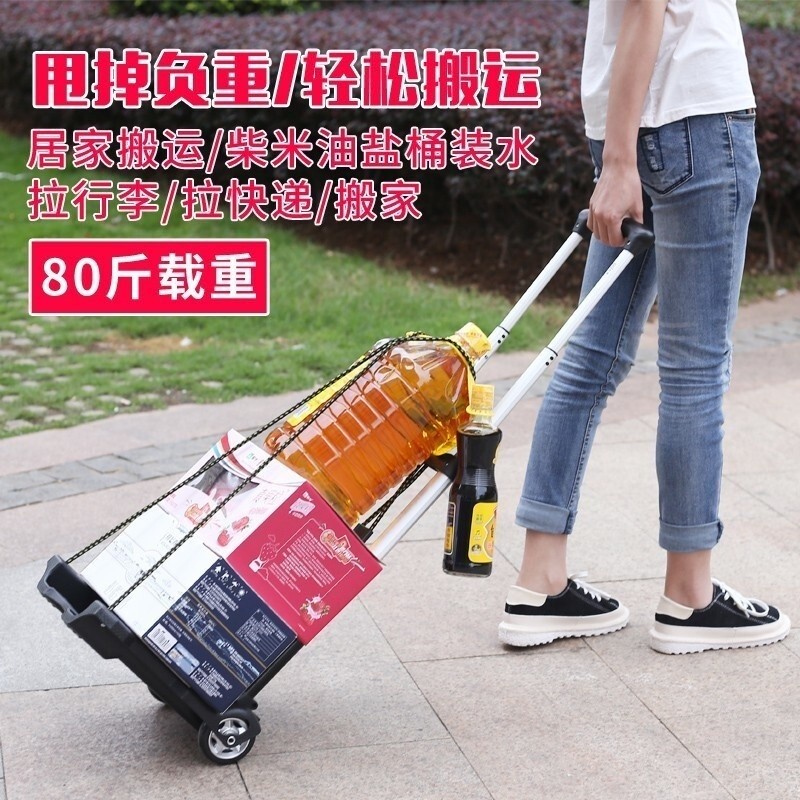 Sg Seller Craftsman Shopping Cart Foldable Trailer Portable Trolley Mini Trolley Luggage Cart Househ
