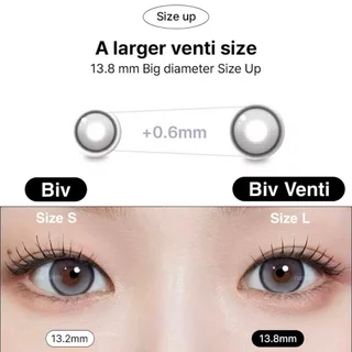 MYFiPN Biv Venti [Fixing Lens] #เลนส์ไม่หมุน คอนแทคเลนส์รายเดือน