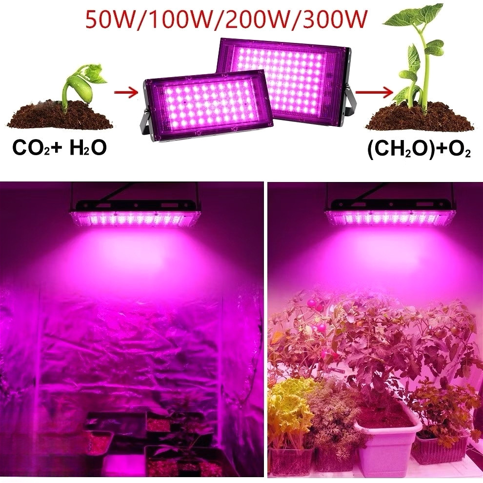 220V Full Spectrum LED Grow Light 50W/100W/200W /300Wไฟปลุกต้นไม้ ไฟช่วยต้นไม้ตัวเร็ว มีสวิตช์ปิดเปิด สายไฟยาว1.5โมตร