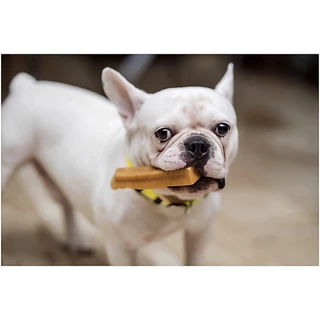 ชีสแท่งนมจามรี ไซส์ M+ /Himalayan Dog Chew Large Size (yak cheese)