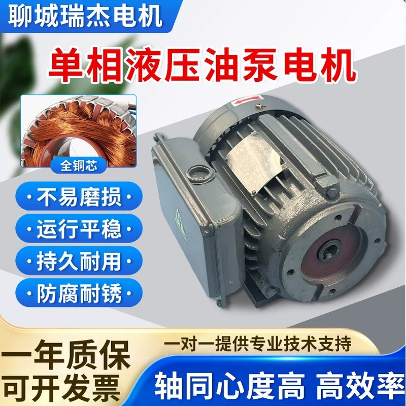 มอเตอร์ไฮดรอลิกเฟสเดียว 220V สไตล์ไต้หวัน 0.75/1.5/2.2KW VP20 ปั๊มน้ํามันมอเตอร์เพลาด้านในโดยเฉพาะ