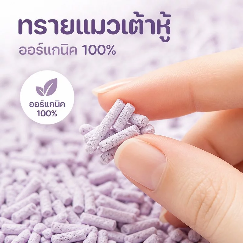 SKISOPGO ทรายแมวเต้าหู้ ออร์แกนิค100% ดับกลิ่นที่แข็งแกร่ง ทรายแมว tofuCatLitter 12ลิตร สินค้าคุณภาพ thumbnail 10