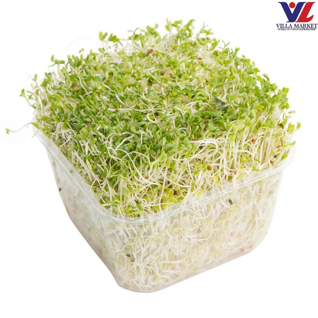 Fg Green Alfalfa 120G อัลฟัลฟ่าเขียว 120 กรัม (Vegetables Import)