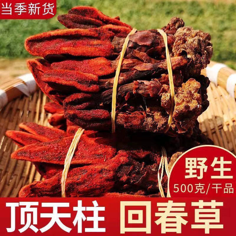 Wild Rejuvenating Grass Not Old Grass Rejuvenating Grass Rejuvenating Grass พร้อม Wolfberry Making M