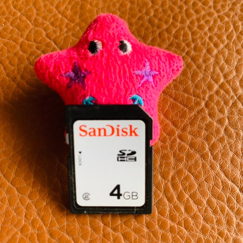 sdcard แท้ ssd 1tb การ์ด sd ความเร็วสูง 4G การ์ดหน่วยความจํากล้อง Universal Card sd Card 4gb Digital